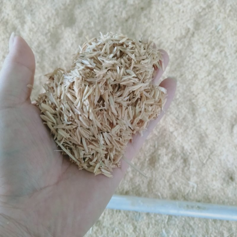 优质散装稻壳