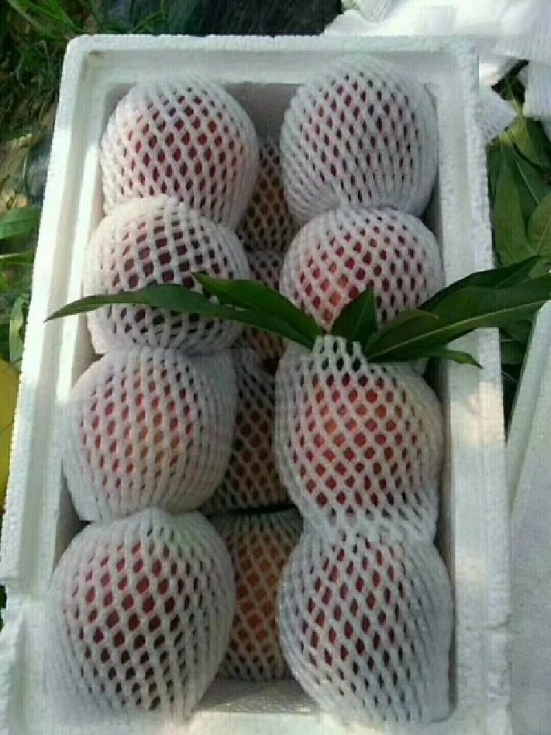 油桃上市