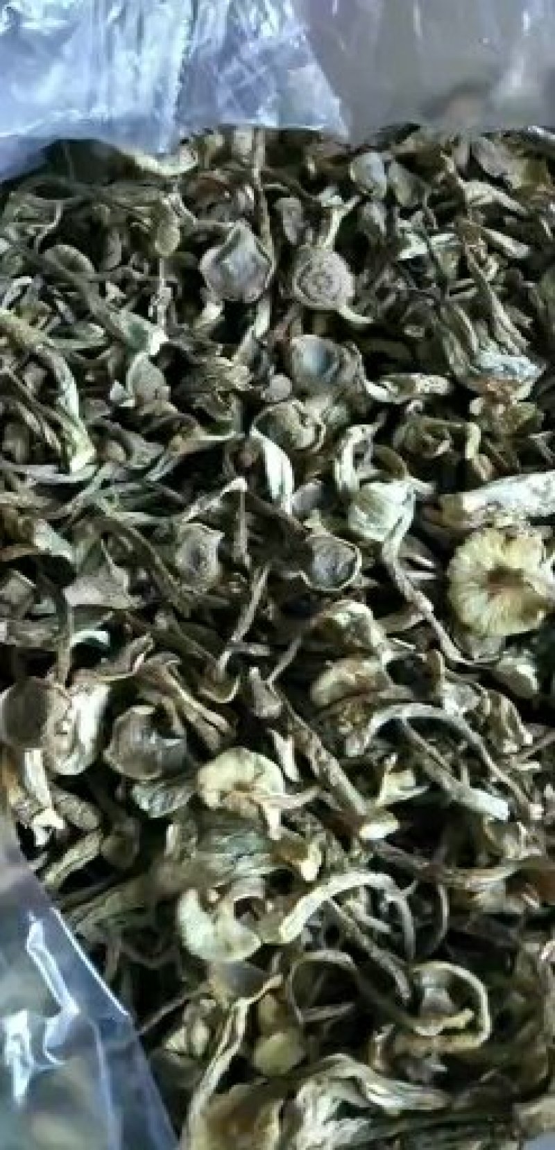 鹿茸菇干品各个等级