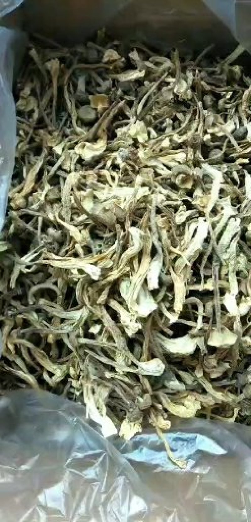 鹿茸菇干品各个等级