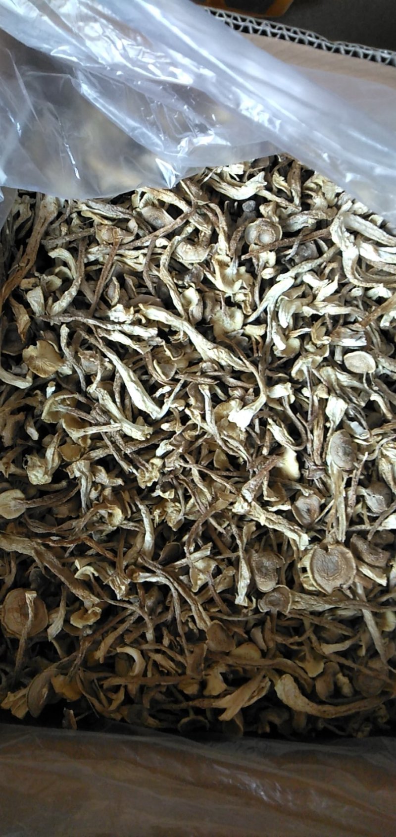 鹿茸菇干品各个等级