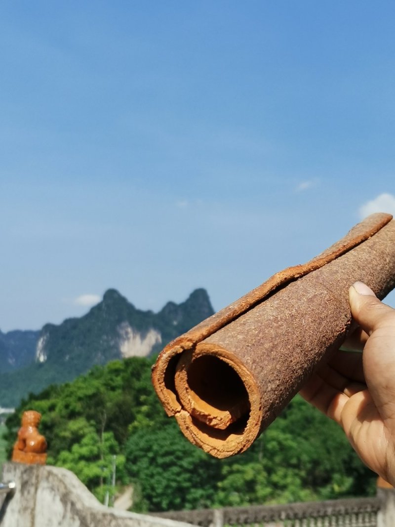 广西产地桂皮肉桂2026年新晒干香料包邮