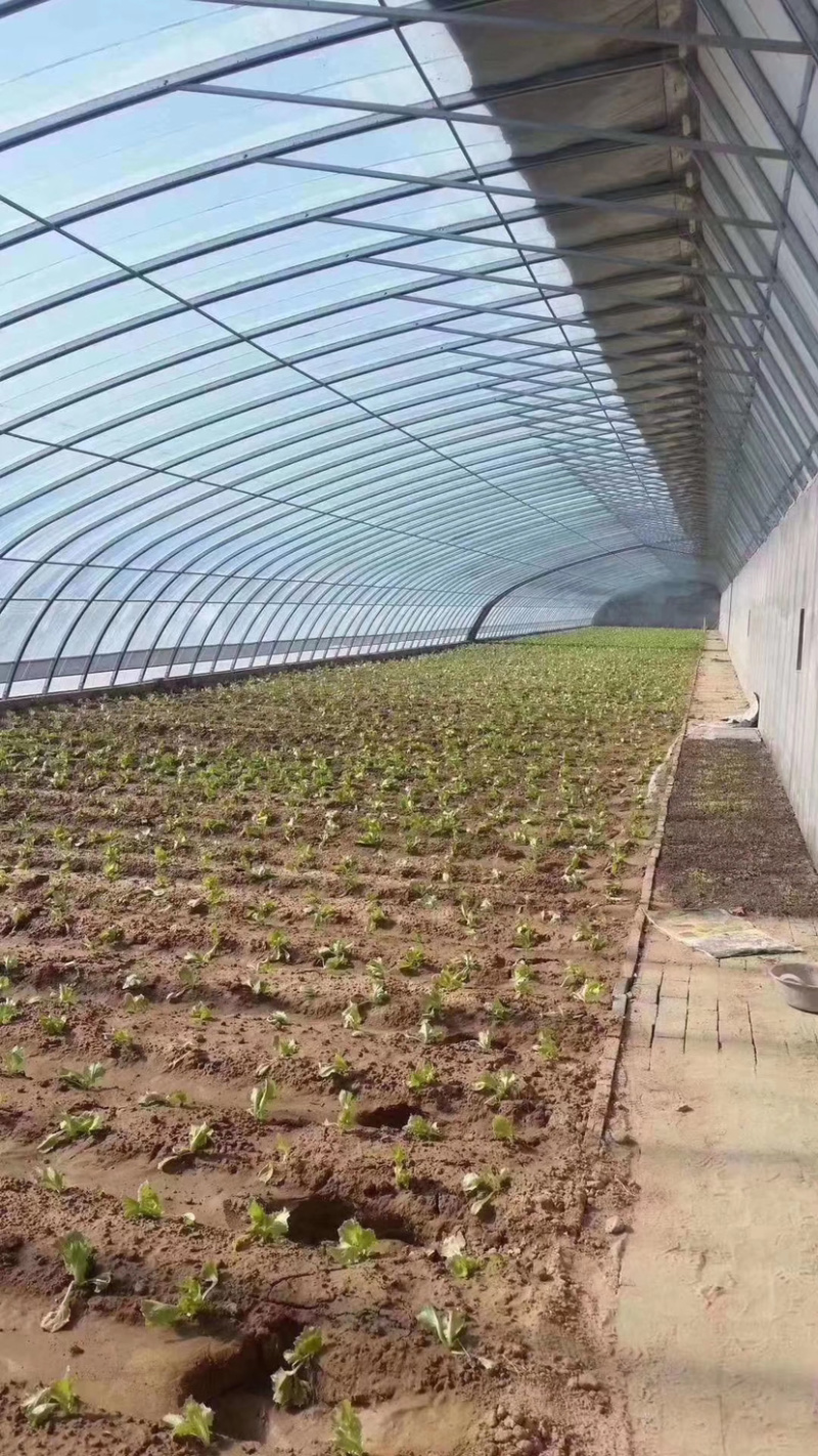 销售大棚管和配件及各种钢铁
