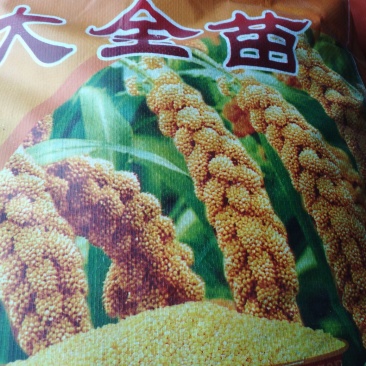 大黄米面熟工厂价