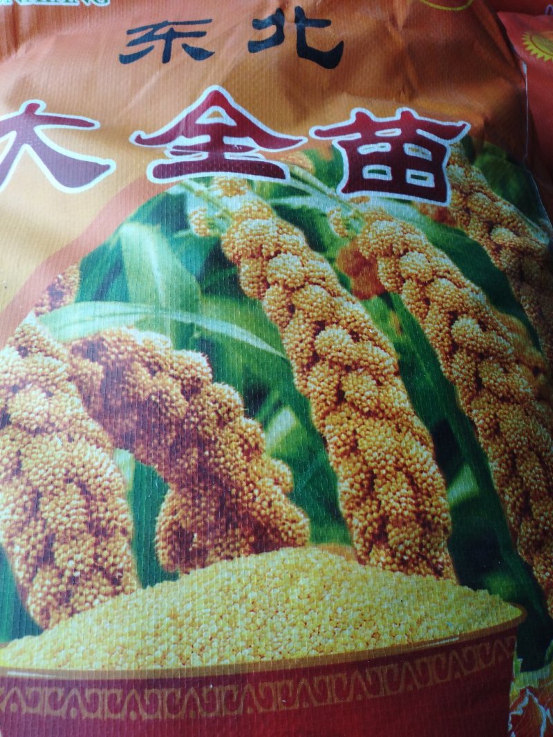 大黄米面熟工厂价