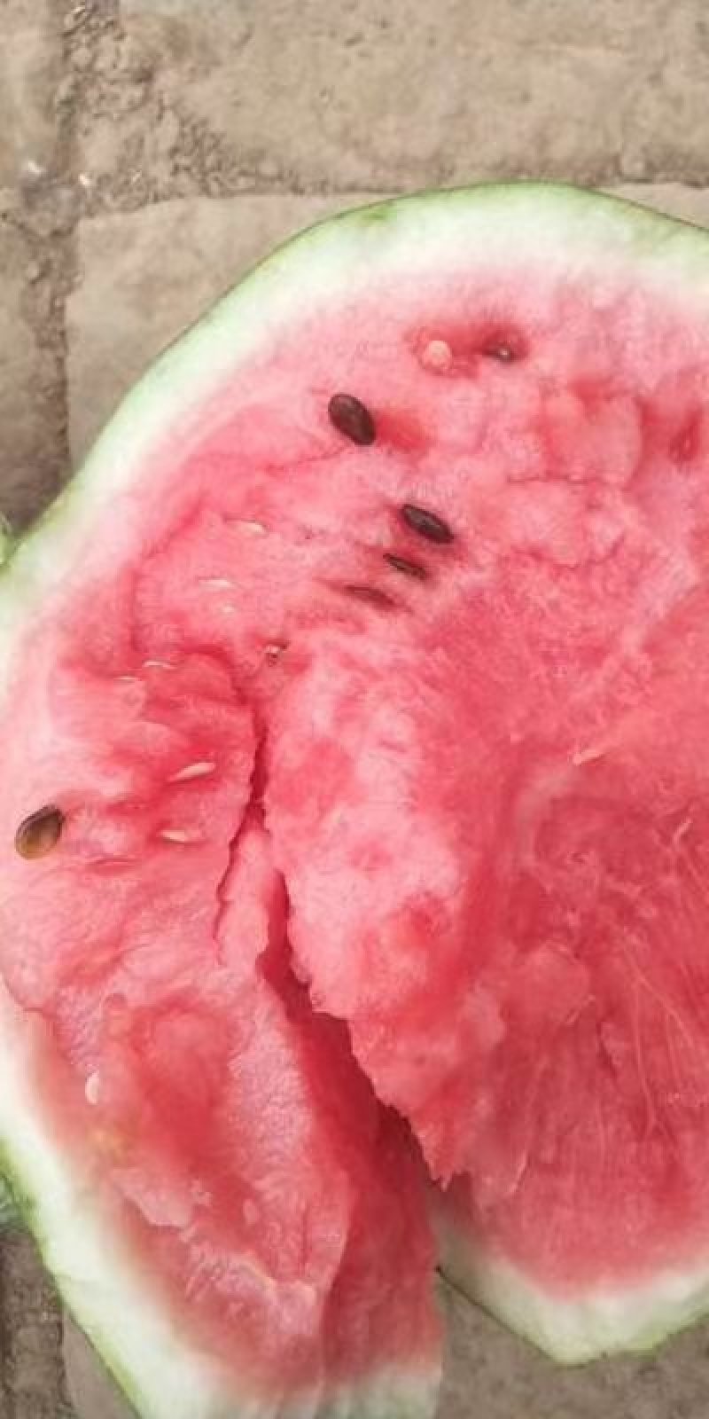 精品西瓜安徽西瓜8424西瓜，甜度好，保证包熟包甜