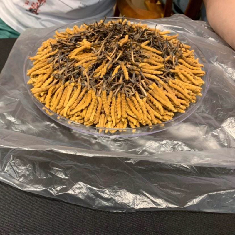 冬虫夏草虫草一克3根一手货源