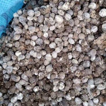 【热卖】农家天然兔粪量大价优质量保障货量充足