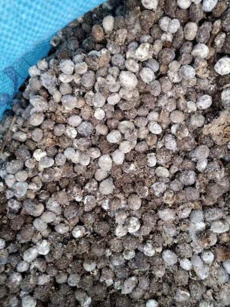 【热卖】农家天然兔粪量大价优质量保障货量充足