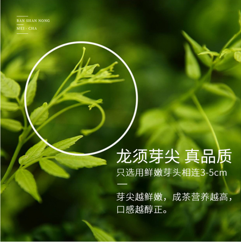 高山莓茶清明茶礼品装-湘西特产