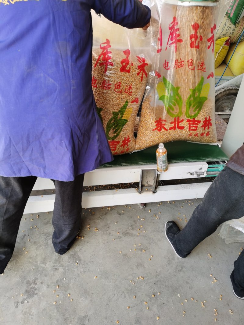 黄玉米