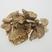 菊苣根，，常年批发供应冷背中药材菊苣根量大从优