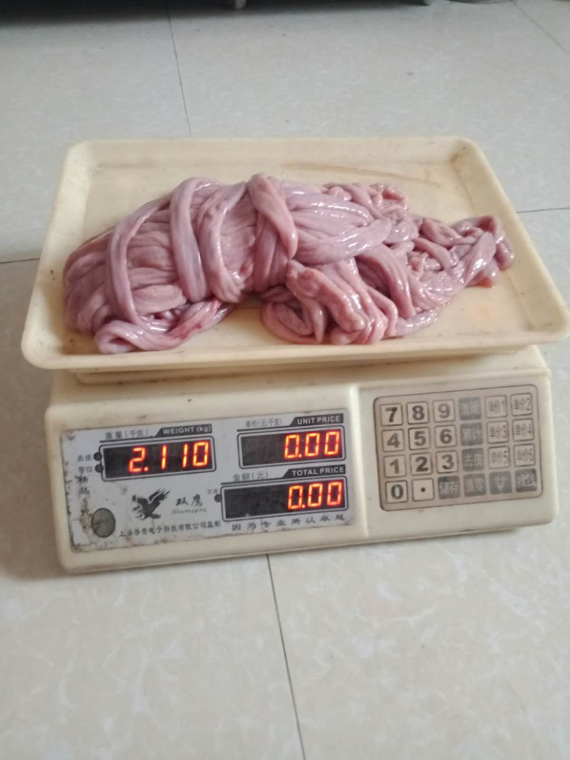 【低价出售】高品质猪小肠医药和熟食可用每天一千条以上供应
