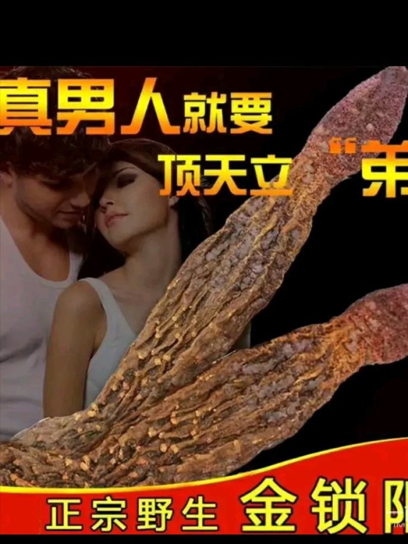 男性黄金泡酒料整根鹿鞭，鹿茸片，灵芝，人参等十几味配成