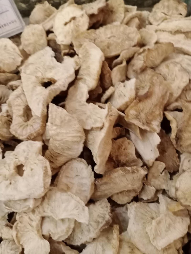 菊茞根，常年批发供应冷背，中药材菊茞根
