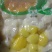 餐饮尖货正宗罗田板栗仁真空板栗仁，炒，煮，烧，炖各种吃法