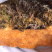 石蜜。岩蜜。野生蜂蜜零售批发。热卖产品