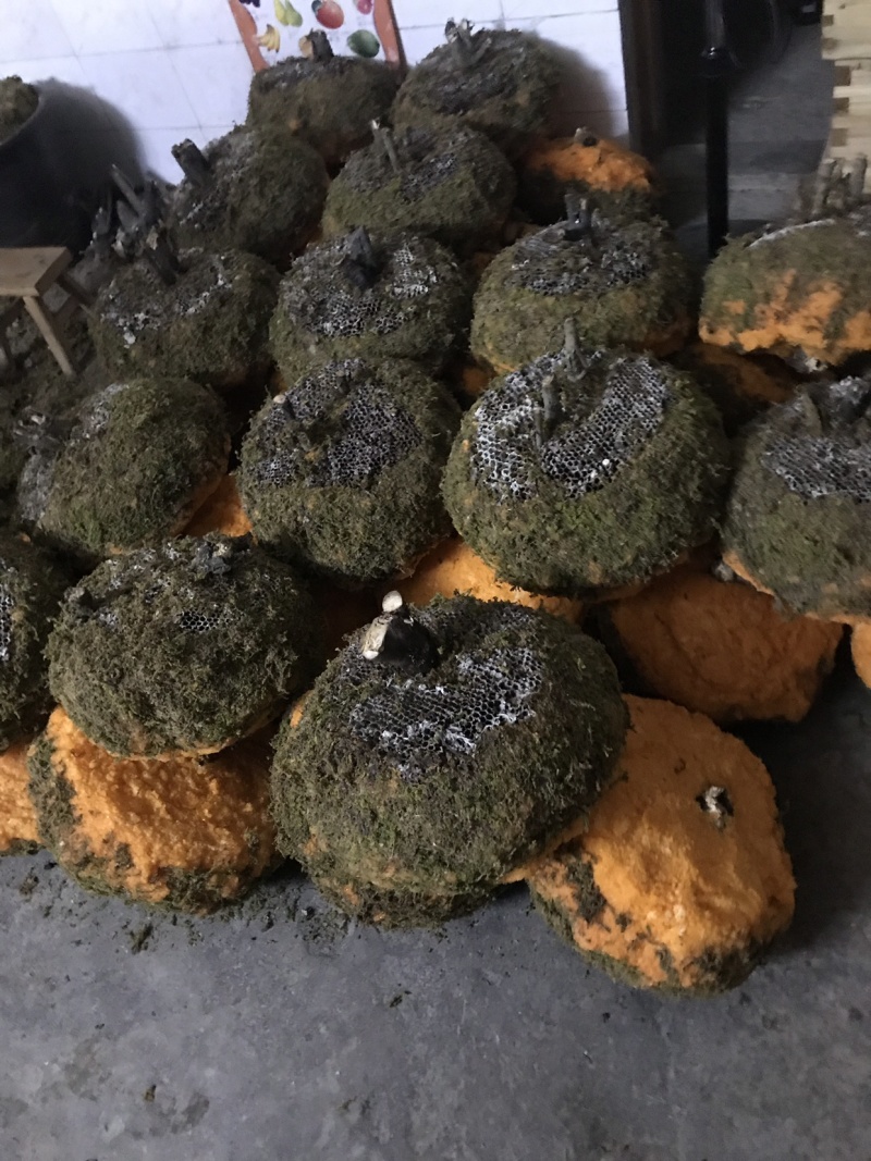 石蜜。岩蜜。野生蜂蜜零售批发。热卖产品