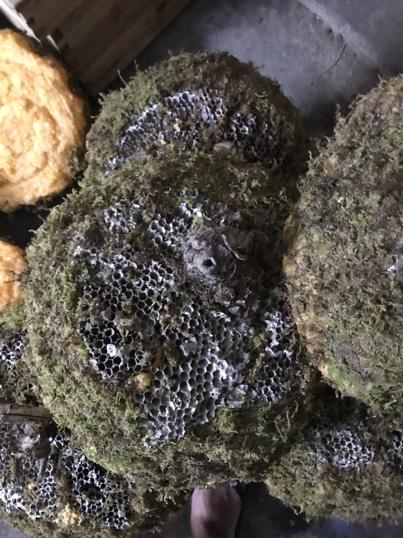 石蜜。岩蜜。野生蜂蜜零售批发。热卖产品