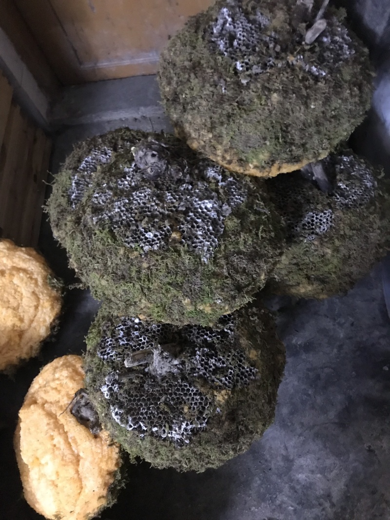 石蜜。岩蜜。野生蜂蜜零售批发。热卖产品
