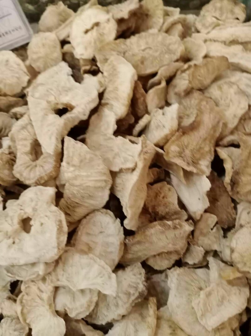菊茞根，常年批发供应冷背中药材菊茞根