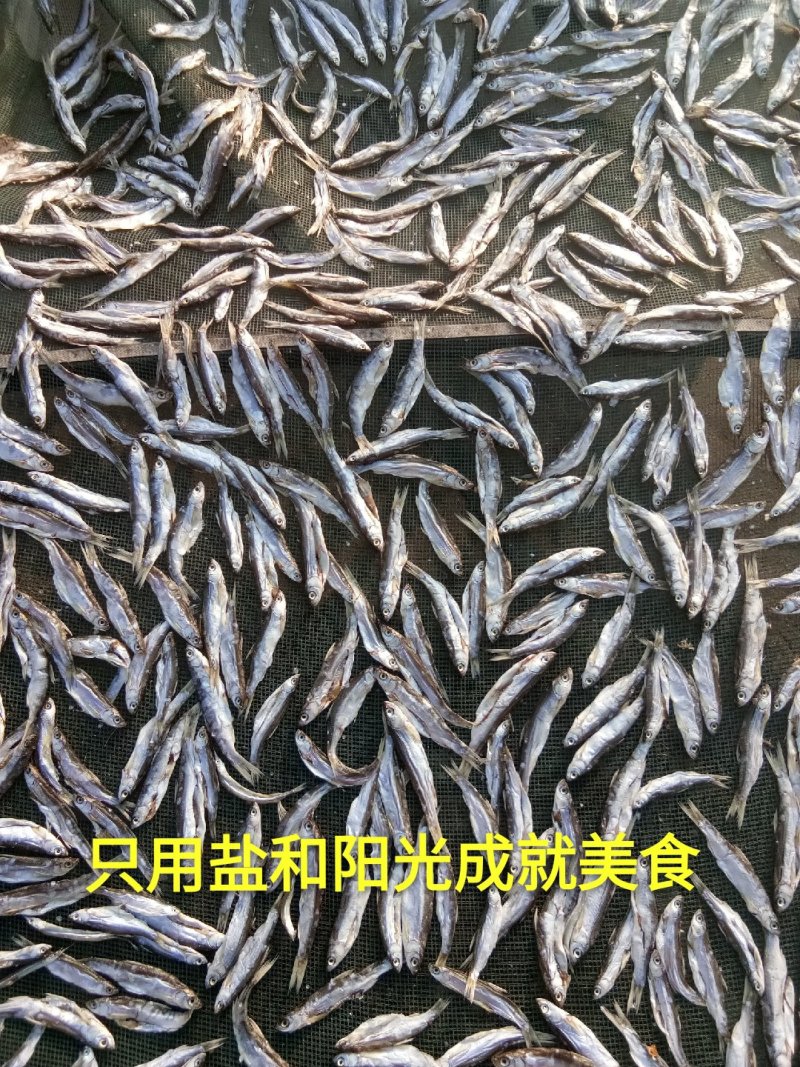 湖北洪湖小刁子小参子鱼不用泡水也不咸