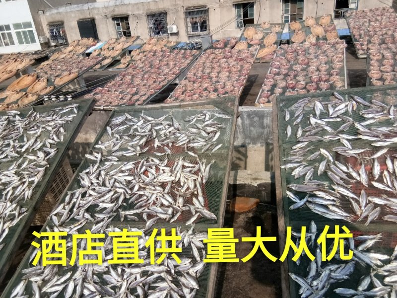 湖北洪湖小刁子小参子鱼不用泡水也不咸