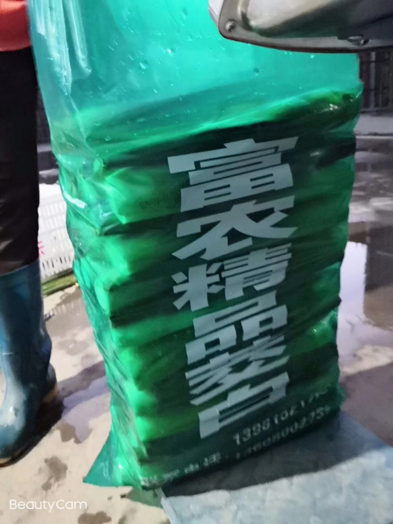 精品茭白
