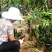 广西正宗燕窝火龙果苗麒麟果黄龙无刺火龙果苗盆栽果树苗嫁接