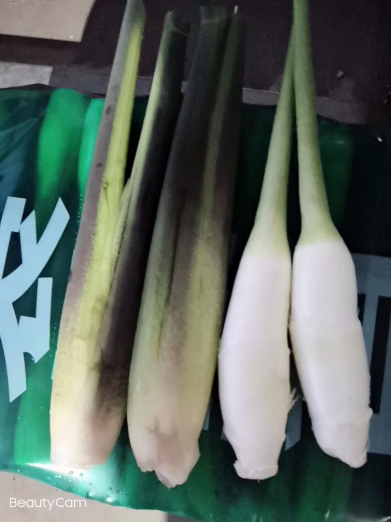 精品茭白