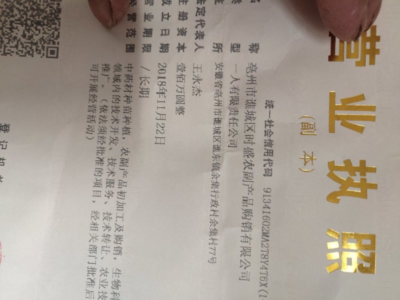 精品小叶，板蓝根种子，免费提供技术服务，包好回收