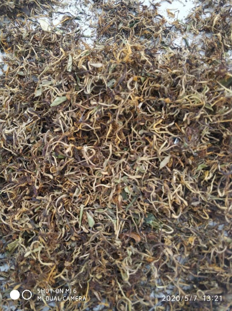 大别山纯正野生金银花