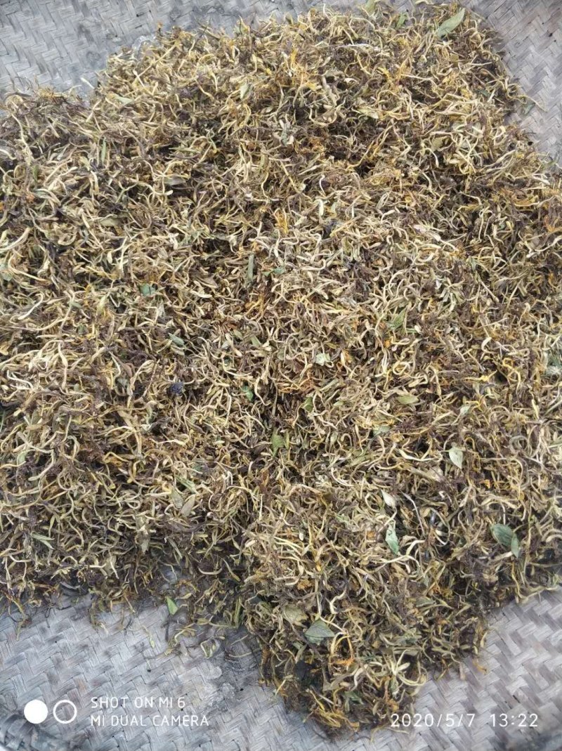 大别山纯正野生金银花
