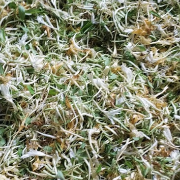 大别山纯正野生金银花