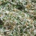 大别山纯正野生金银花