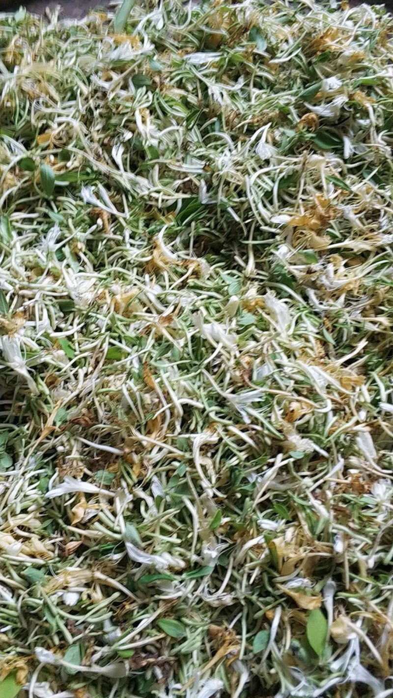 大别山纯正野生金银花