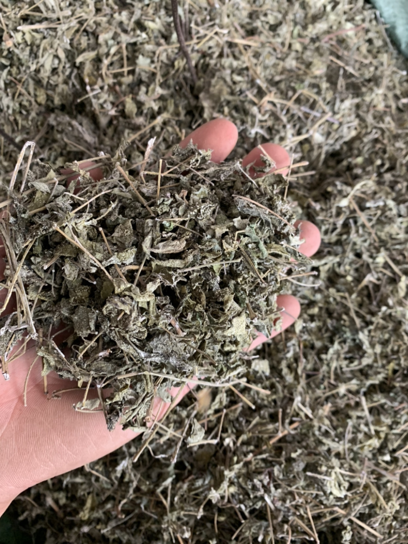 广西藤茶，广西藤茶回甘甜量大优惠大量批发