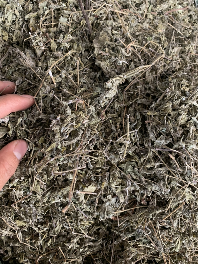 广西藤茶，广西藤茶回甘甜量大优惠大量批发