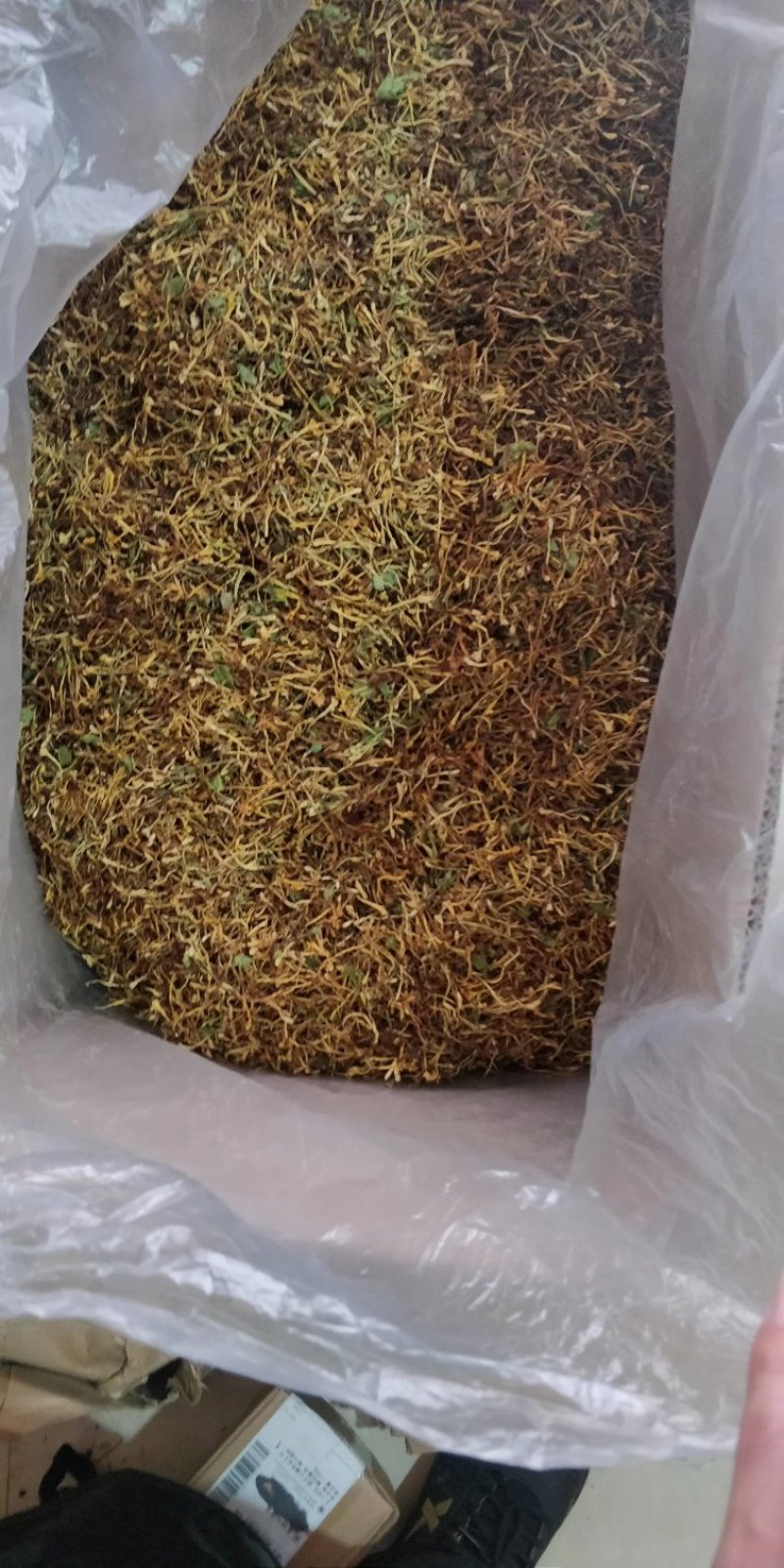 金银花