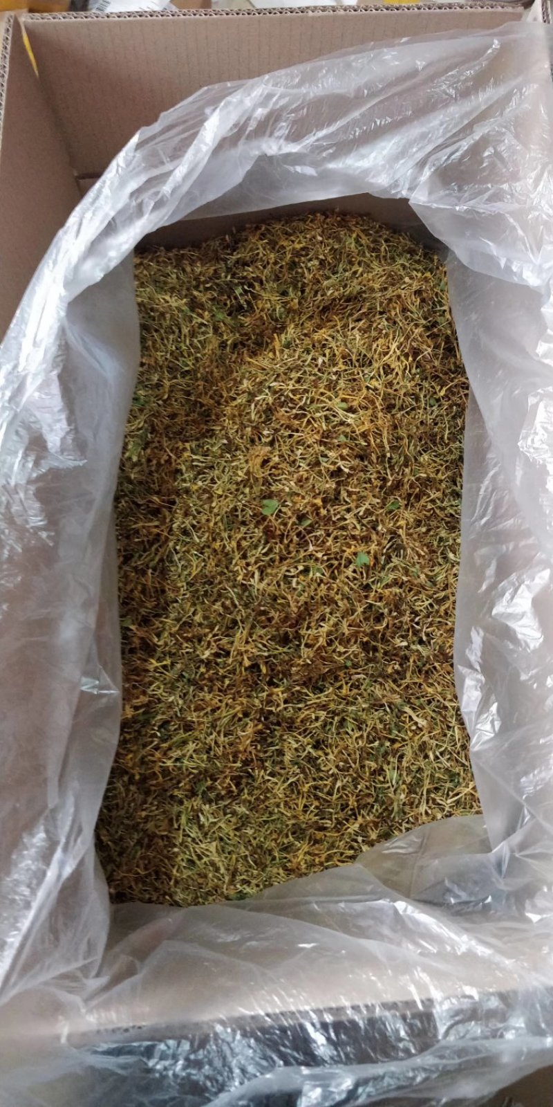 金银花