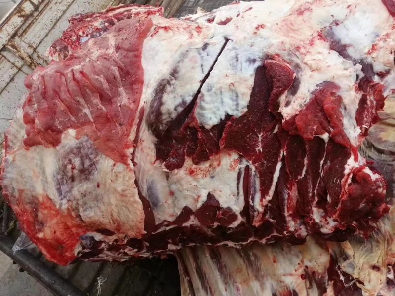 多肉牛排牛副产品大量有货，，，，，，