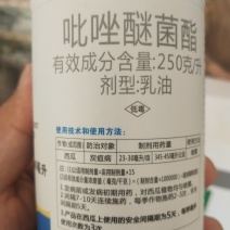 杀菌剂吡唑醚菌酯炭疽病