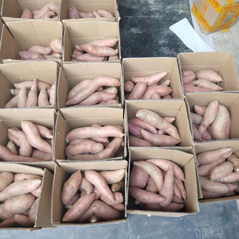 广西正宗北京红红薯农家自种