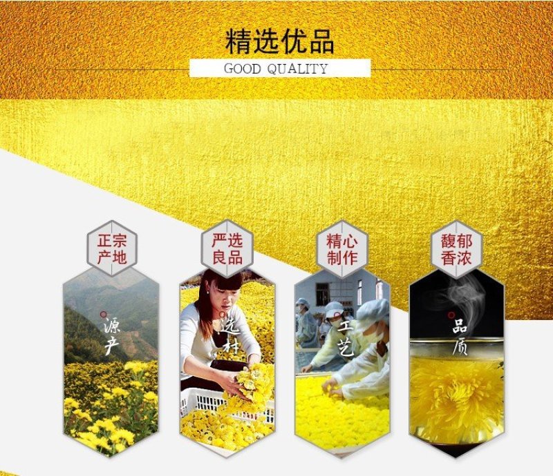 金丝皇菊新花一朵一杯散装大黄菊花安徽皇菊花茶散货