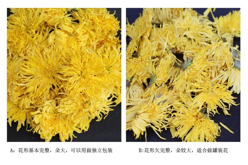 金丝皇菊新花一朵一杯散装大黄菊花安徽皇菊花茶散货