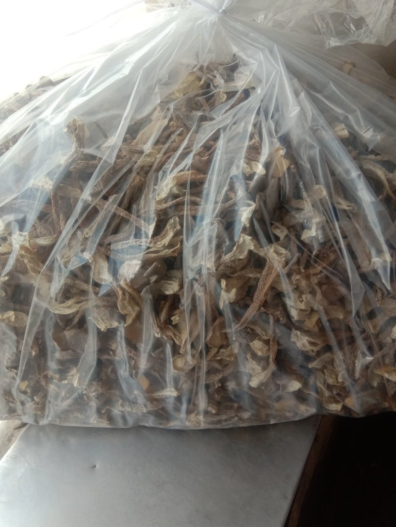鹿茸菇干品（厂家供货）专业规模化食用菌种植企业品质优良