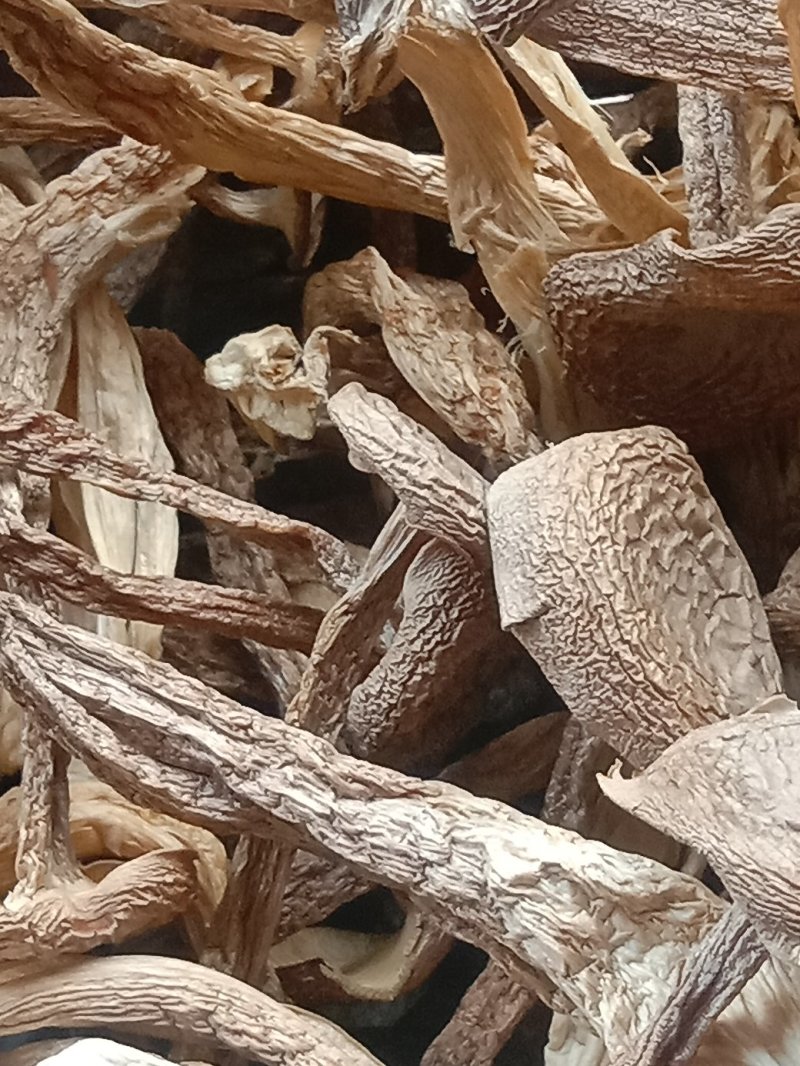 鹿茸菇干品（厂家供货）专业规模化食用菌种植企业品质优良