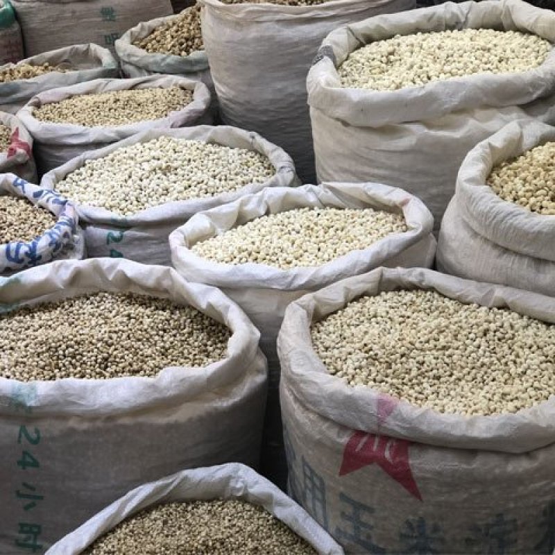 中药材批发贝母各种规格贝母非野生