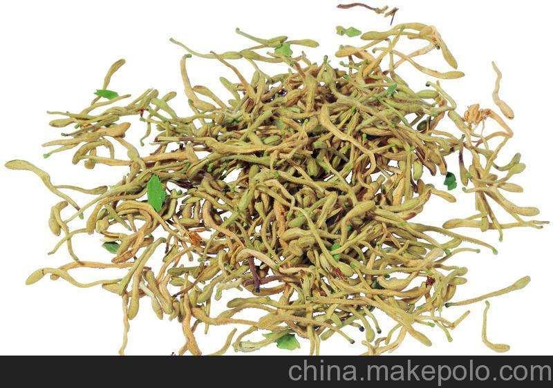金银花