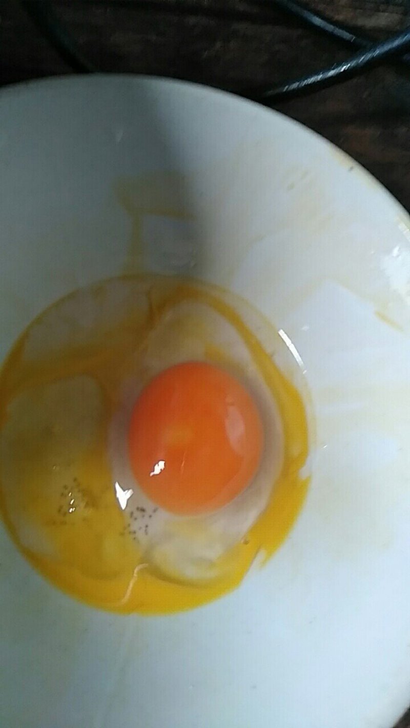 禽畜牧蛋肉